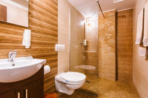 a bathroom with a toilet and a sink and a shower at Casa Domeniile Vinului in Aiud