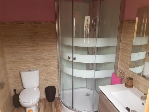 a bathroom with a shower and a toilet and a sink at El Majano in Montánchez