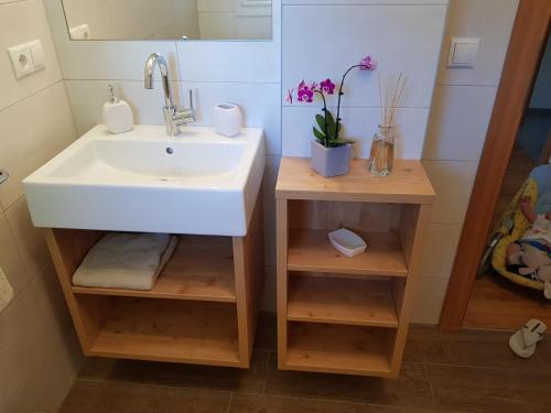 a bathroom with a white sink and a mirror at Ferienwohnungen Schlosshäusl in San Lorenzo di Sebato