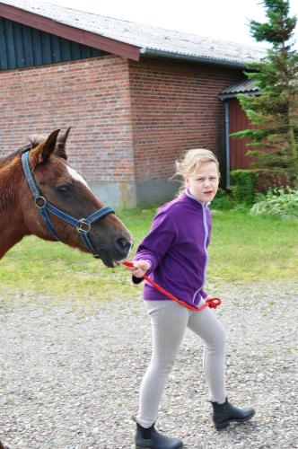 a young girl is petting a brown horse at Ferienzimmervermietung Reitferien in Skærbæk