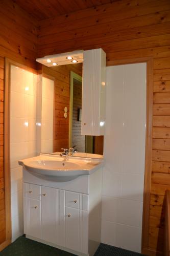 a bathroom with a sink and a mirror at Haus Kärnten in Altossiach