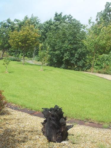 a tree stump sitting on the ground in a park at Nephin Lodge in Westport