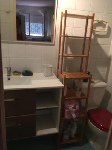 a bathroom with a sink and a ladder next to a toilet at Villa Cemaste in Montpellier