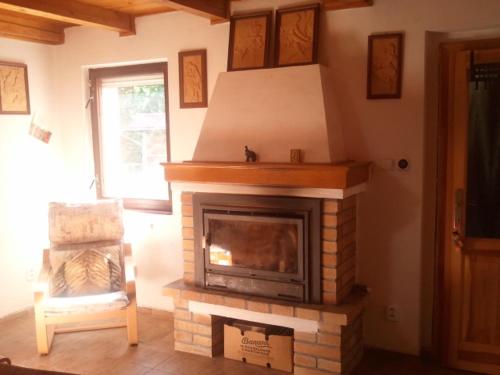 a living room with a fireplace and a chair at Chata Zahrada Madeta in Veselí nad Lužnicí