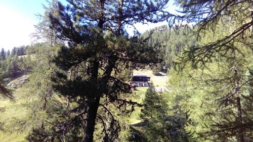 Příroda nedaleko hotelu