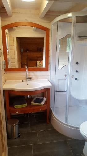 a bathroom with a sink and a shower at De Priesnitzhoeve in Laag-Soeren