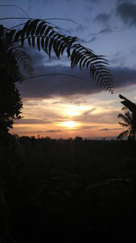 a sunset with a palm tree in the foreground at ESA di Kubu Homestay in Singaraja