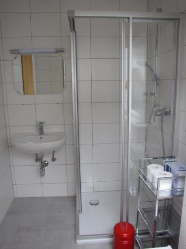 a bathroom with a shower and a sink at Ferienwohnung Dettenhausen in Dettenhausen