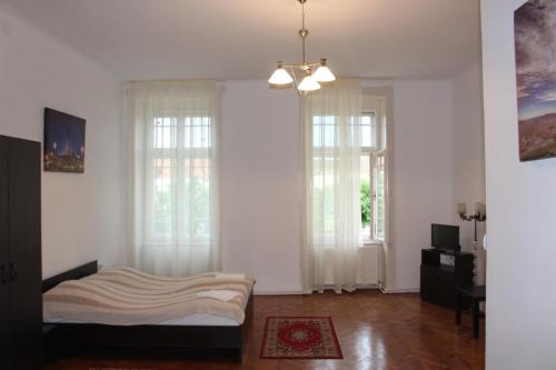 a bedroom with white walls and windows and a bed at Ferdinand Apartments in Mediaş