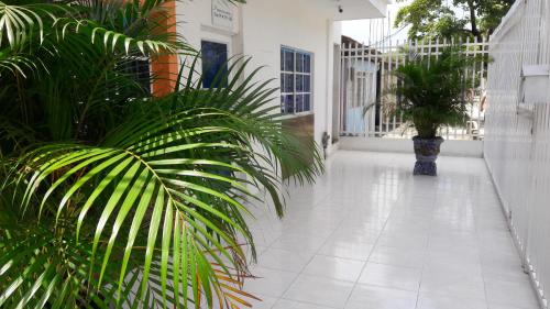 a hallway with a vase with plants in it at Hotel Torres del Parque No3 in Barranquilla