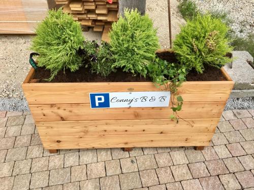 a wooden crate filled with plants on a sidewalk at Conny's B&B in Niederweningen
