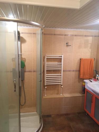 y baño con ducha y lavamanos. en Davidkov Holiday Home, en Shipka