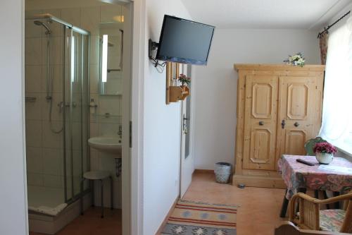 a bathroom with a shower and a sink and a television at Hotel Haus Kirsch in Grevenbroich