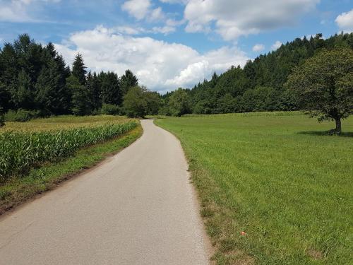 Příroda nedaleko ubytování v soukromí