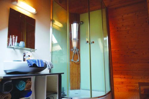 a bathroom with a glass shower and a sink at Epi-Centre in Préaux