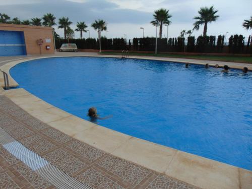 a person swimming in a large swimming pool at Apartamentos varios con 2 dorm en Marina Dor , la playa de Amplaries 47 , vista lateral al mar in Oropesa del Mar