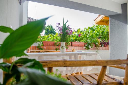 a patio with potted plants and a wooden bench at Guesthouse Juli in Sapareva Banya