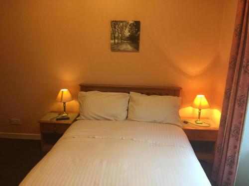 a bedroom with a bed with two lamps on tables at The Ivy House Ferry Link in Stranraer