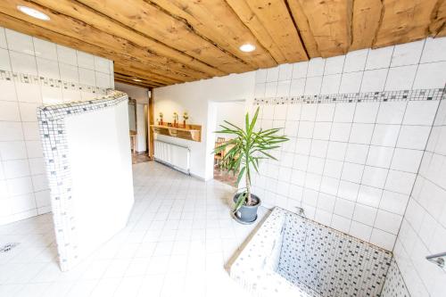 een badkamer met een bad en een plant erin bij Landgasthof Seyrlberg in Reichenau im Mühlkreis