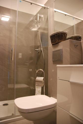 a bathroom with a toilet and a shower at KAMI Ferienwohnungen in Pobierowo