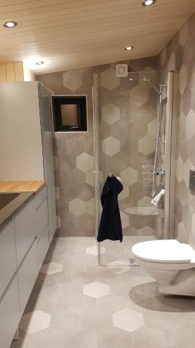 a bathroom with a shower and a toilet and a sink at Gamtunet Lyngen in Svensby