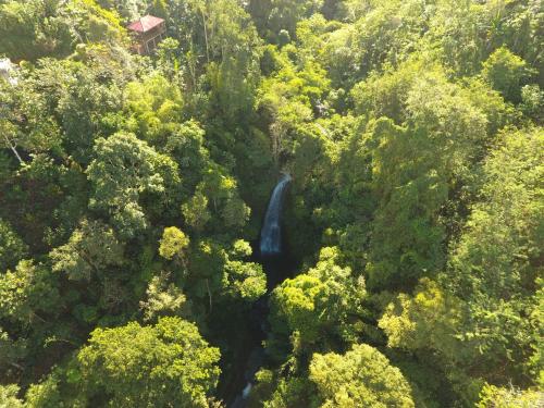 an aerial view of a waterfall in the middle of a forest at Adila Warung and Homestay in Munduk