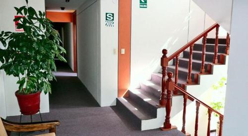a staircase with a potted plant in a building at Hotel T'ika in Puno