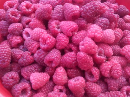 een hoop frambozen in een kom bij Corte di Tosina in Monzambano