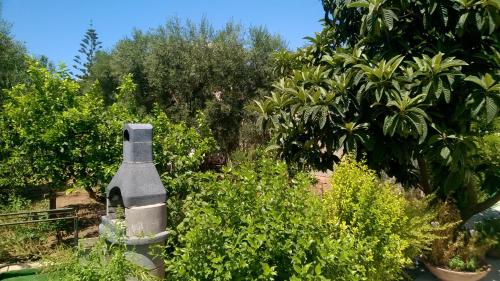 einen Garten mit Bäumen und Pflanzen und eine Flasche im Gebüsch in der Unterkunft Appartamento da Anna in Porto Cesareo