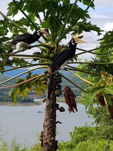 Φωτογραφία από το άλμπουμ του Thawsi Lake Hill σε Si Sawat