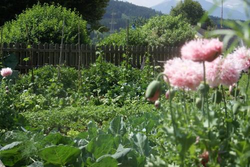 a garden with pink flowers and a wooden fence at MAYER - Wirtshaus und Dorfhotel in Sankt Martin am Grimming