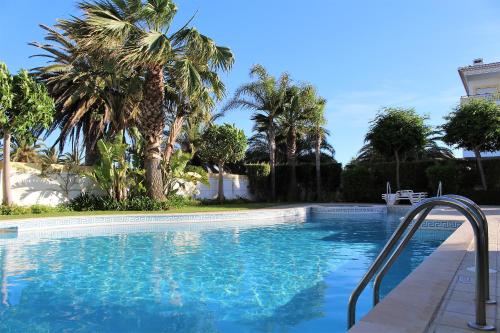 una piscina con palmeras en un complejo en Âncora Boutique Apartments, en Lagos