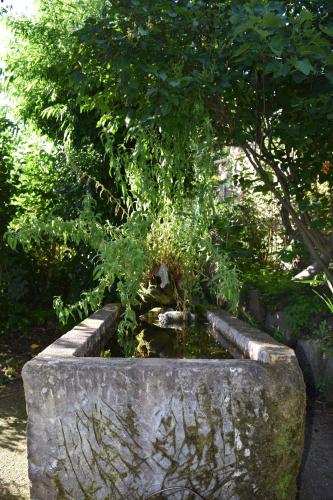 a stone planter with a tree in a garden at Casa Miguel in Olea