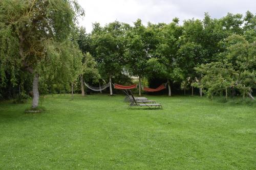 two hammocks in a field with trees and grass at Casa Miguel in Olea