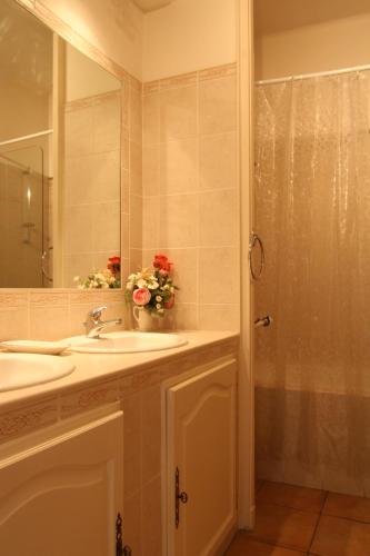 La salle de bains est pourvue d'un lavabo et d'une douche fleurie. dans l'établissement Appart charme Arenes Nimes, à Nîmes