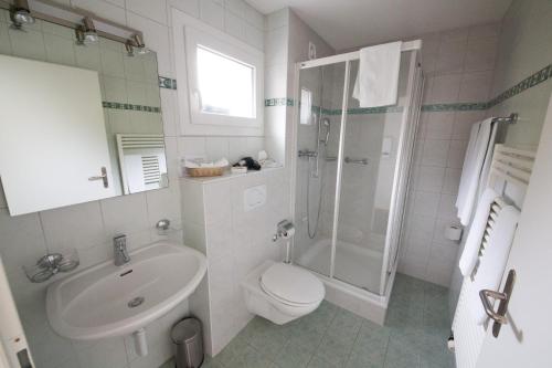 a bathroom with a toilet and a sink and a shower at Le Mont-Vully - Hôtel Restaurant in Haut-Vully