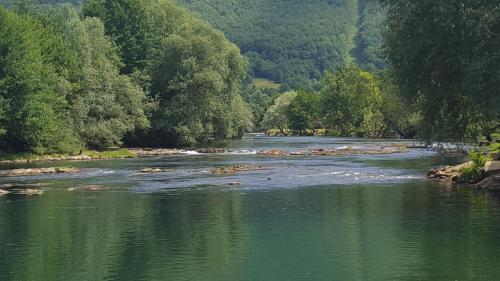 a river with green water and trees in the background at Apartment Sajra in Kulen Vakuf