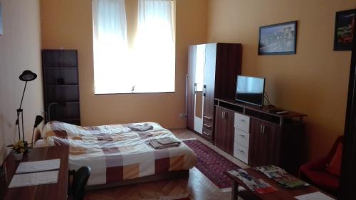 a bedroom with a bed and a tv and a window at Cute apartment close to the center in Budapest