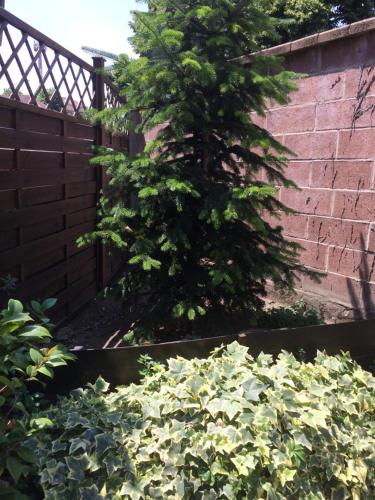 a tree in a garden next to a brick wall at La Porta Nel Giardino in Asti