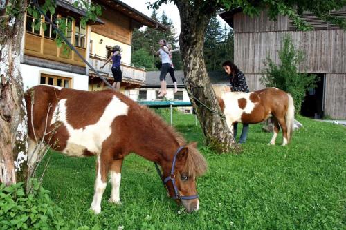 two horses grazing in the grass next to a tree at Haus Loferer in Sankt Martin bei Lofer