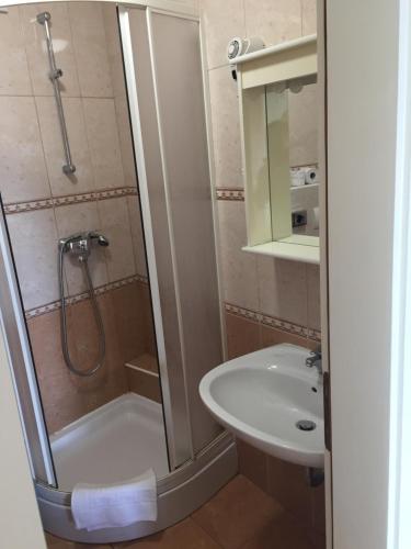 a small bathroom with a shower and a sink at Apartments Aldomar in Biograd na Moru