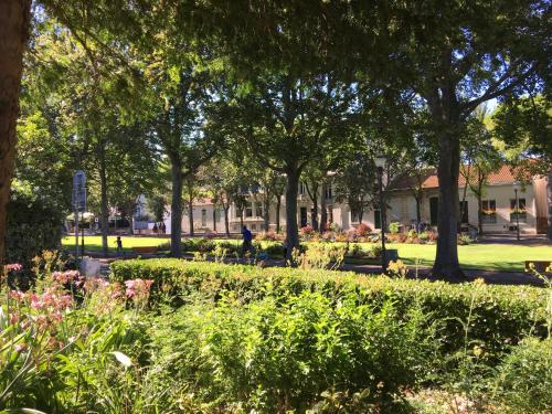 Jardin de l'établissement Accostage Hôtel Plage de la Concurrence