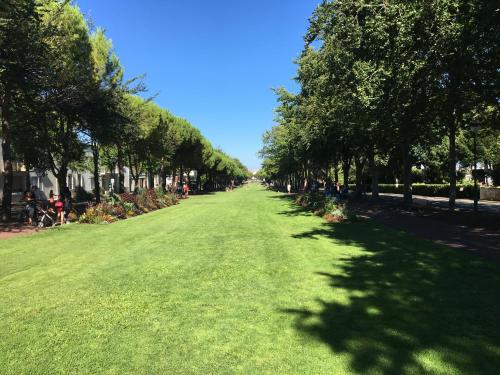Jardin de l'établissement Accostage Hôtel Plage de la Concurrence