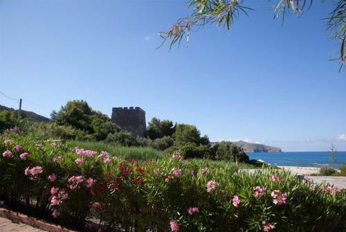 un champ de fleurs avec un château en arrière-plan dans l'établissement Principe di Vallescura Cilento Country House, à Pisciotta