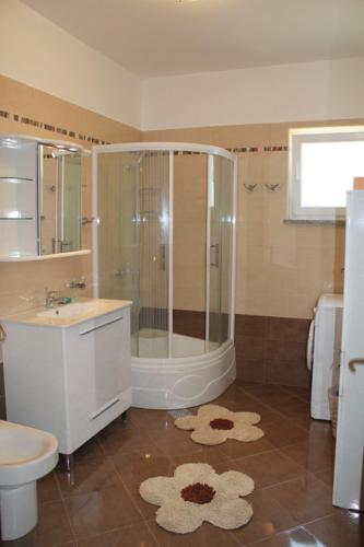 a bathroom with a shower and a toilet and a sink at Apartman Hana in Ika