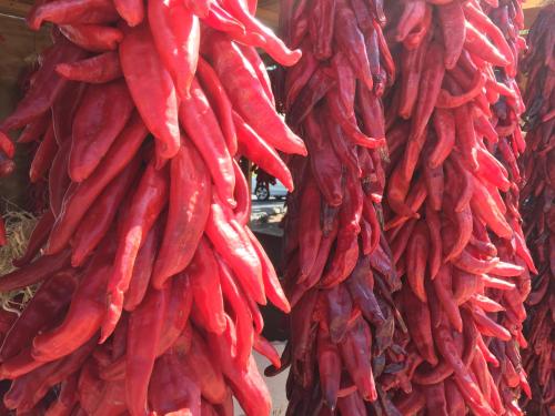 a bunch of red peppers hanging from a wall at Casa de Tres Lunas/House of Three Moons in Santa Fe