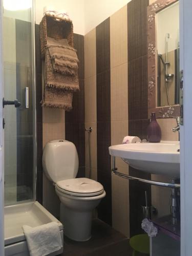 a bathroom with a toilet and a sink at Casa di Lavanda in Hvar
