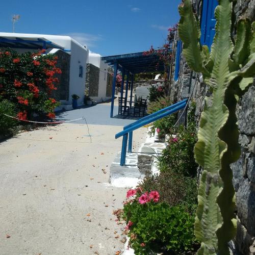 a cactus and flowers in front of a building at Chaniotis Studios in Kalafatis