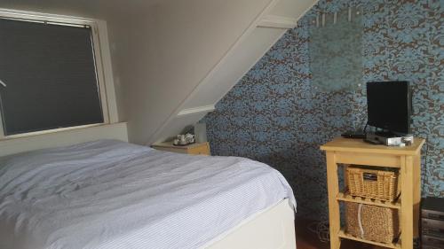 a bedroom with a bed and a window and a television at Charming Family Home in Delft