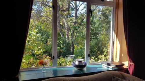 a window with a view of a tree at Olde Mill House B&B & Bike2Wine cycle hire in Renwick
